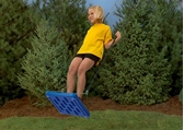 Picture of Sky Flyer Stand Swing