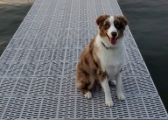 Picture of Signature  1' x 4' Sure Step Dock Top End Piece